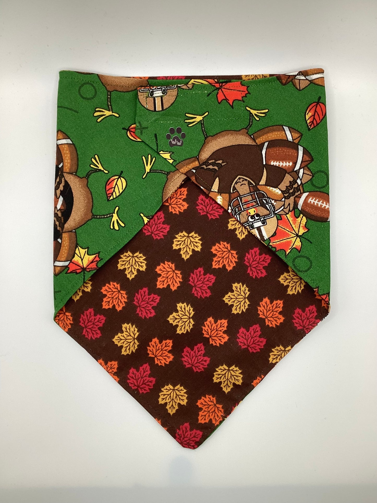 Football Turkey