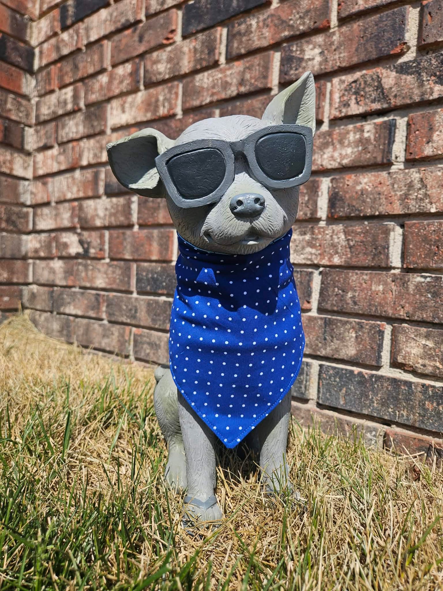It's My Bark Day - Blue