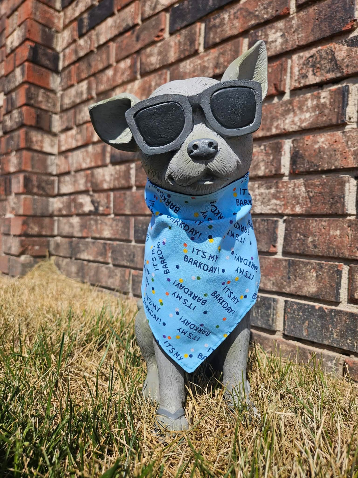 It's My Bark Day - Blue