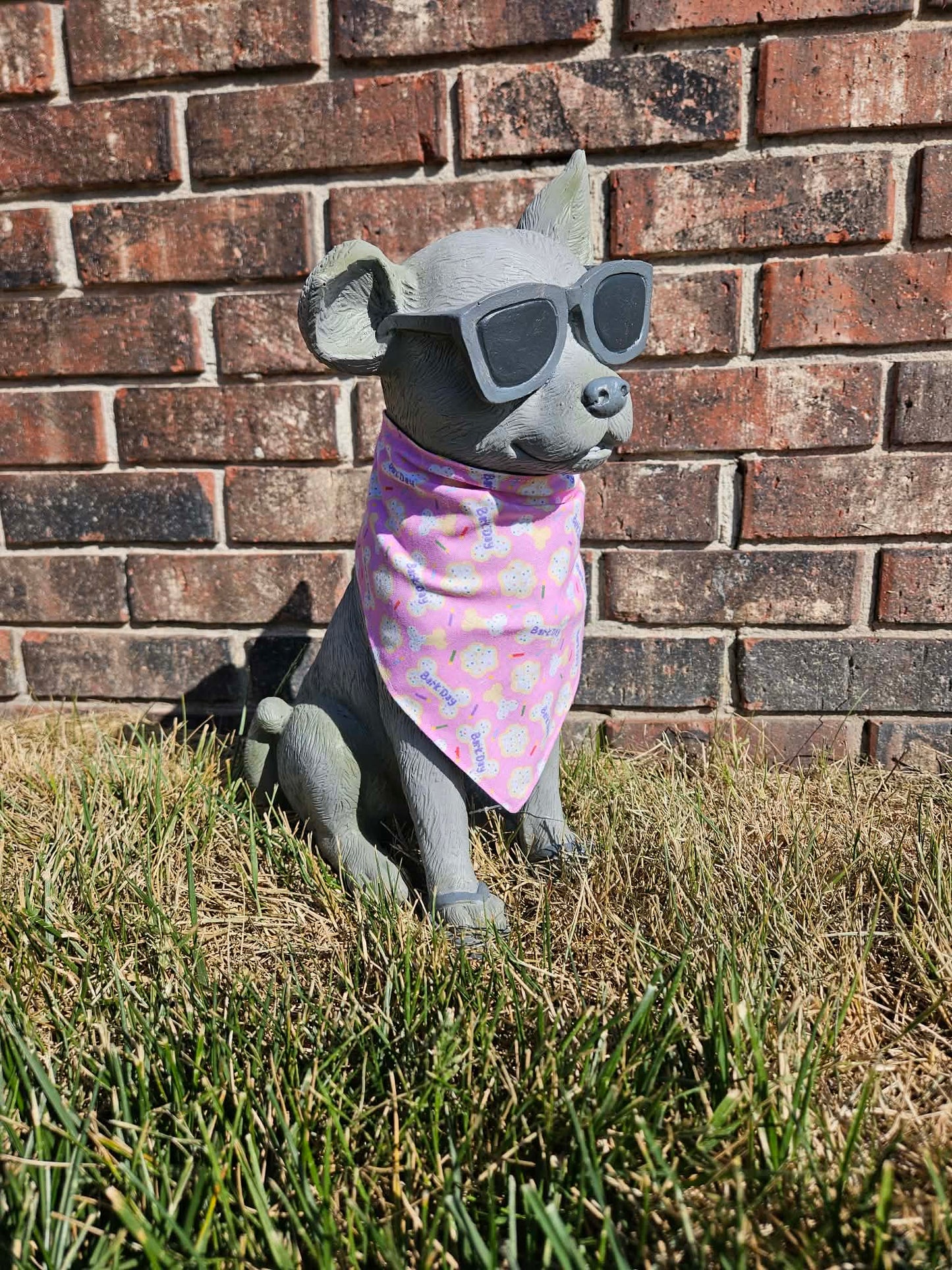 Bark Day Pink