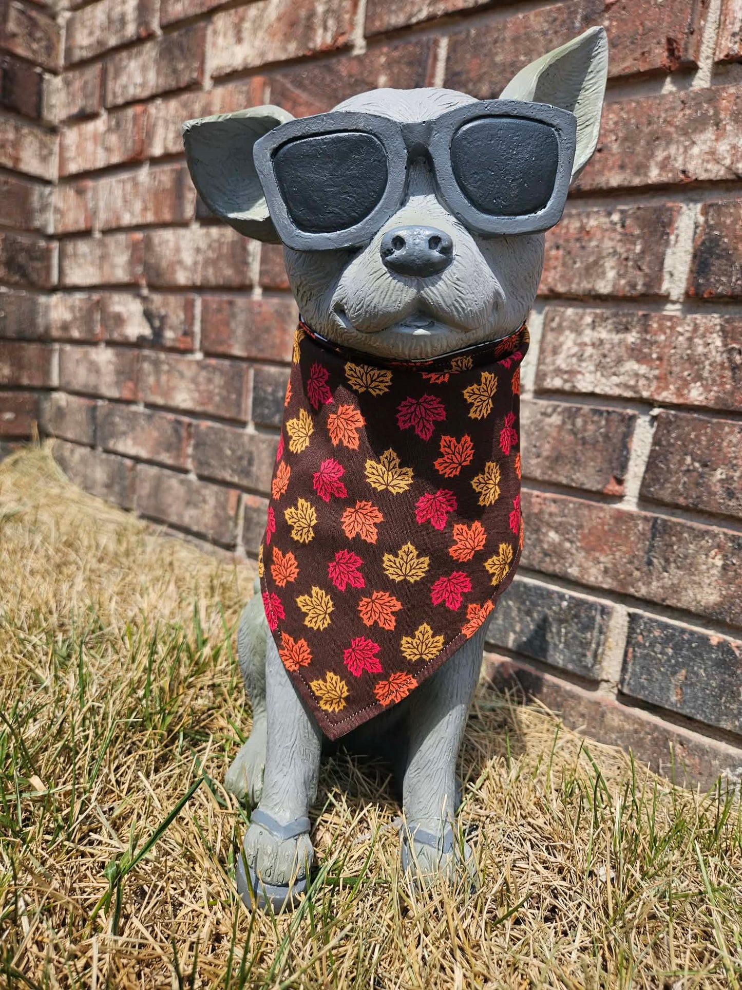 Thanksgiving Dogs
