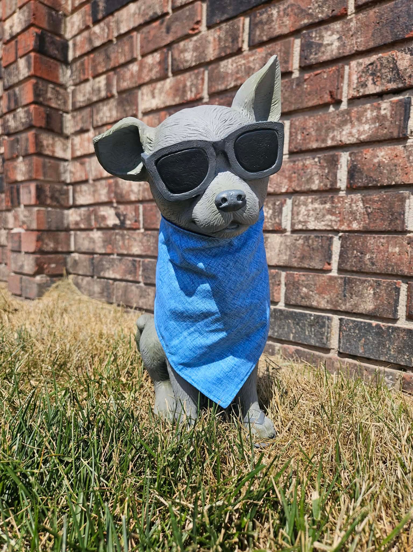 Dancing Blue Dog