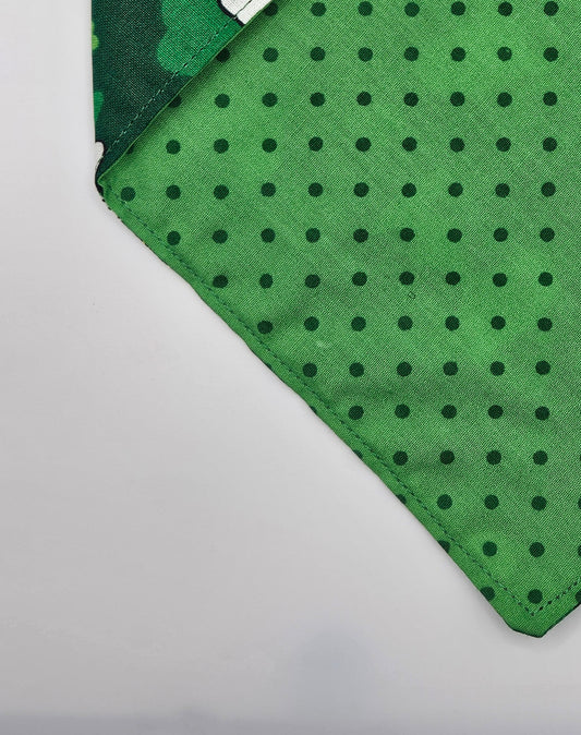 Beagle - St Patricks