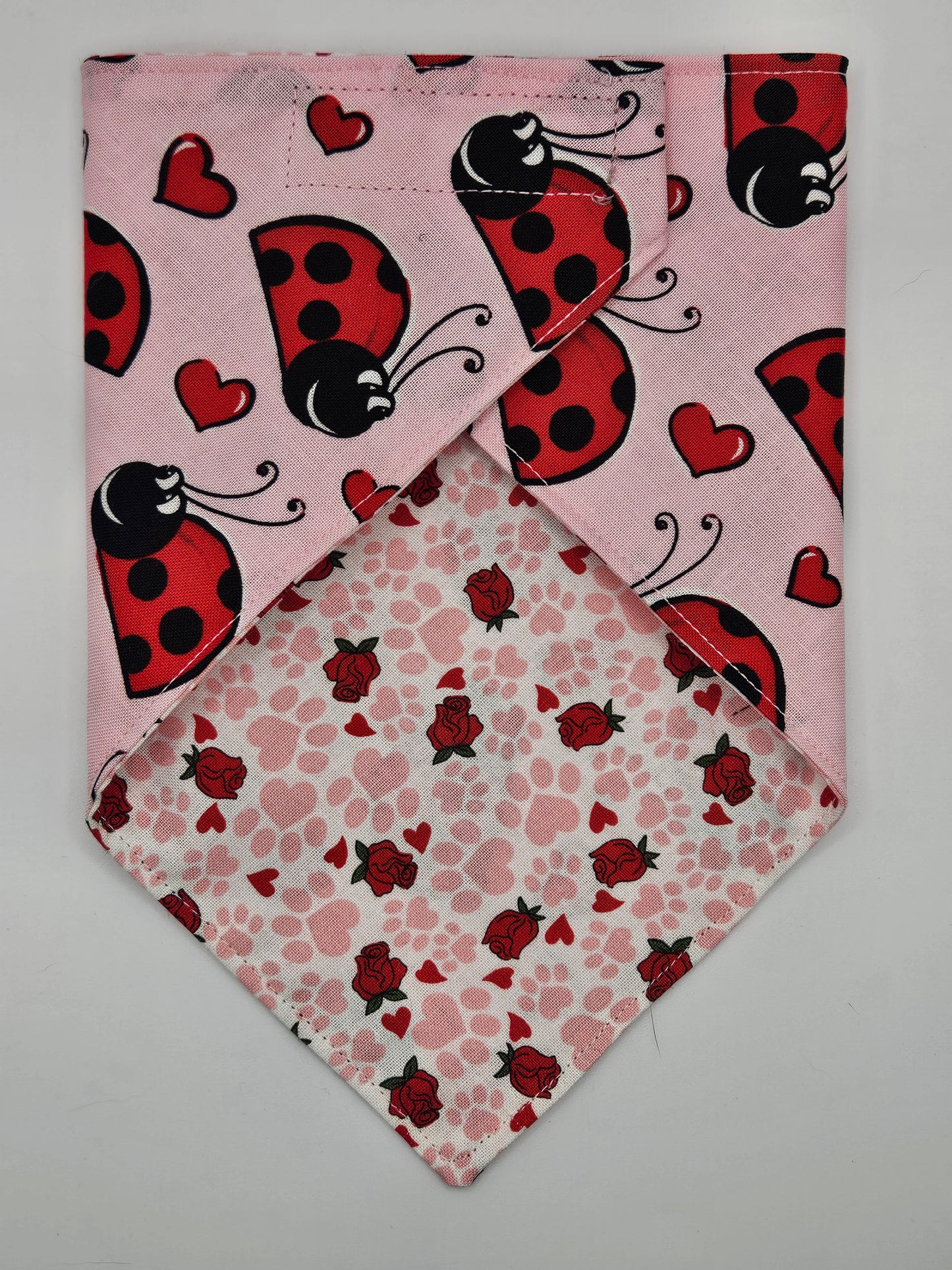 Lady Bugs