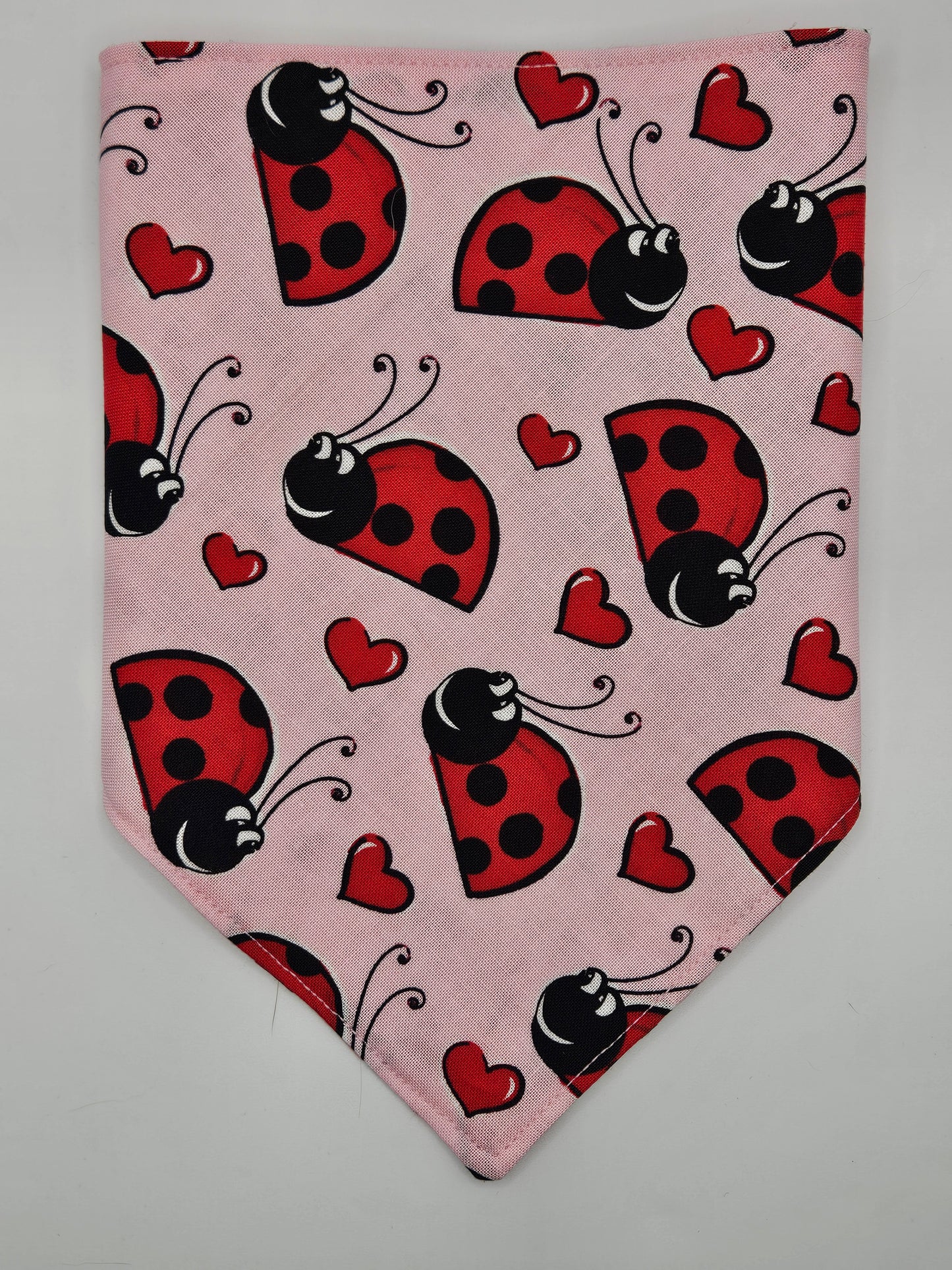 Lady Bugs