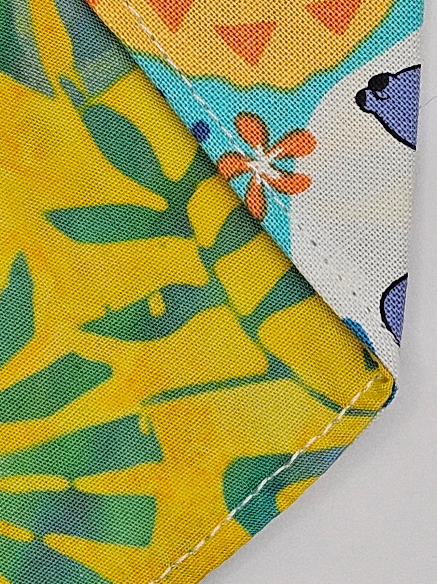 Hawaiian Experiment